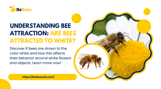 Are Bees Attracted to White