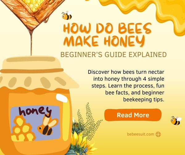 How Do Bees Make Honey? A Complete Beginner’s Guide