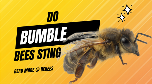 Do Bumble Bees Sting? Understanding Their Behavior and Safety Measures