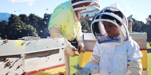 Buzzing into Spring: The Most Important Beekeeping Equipment for the Season