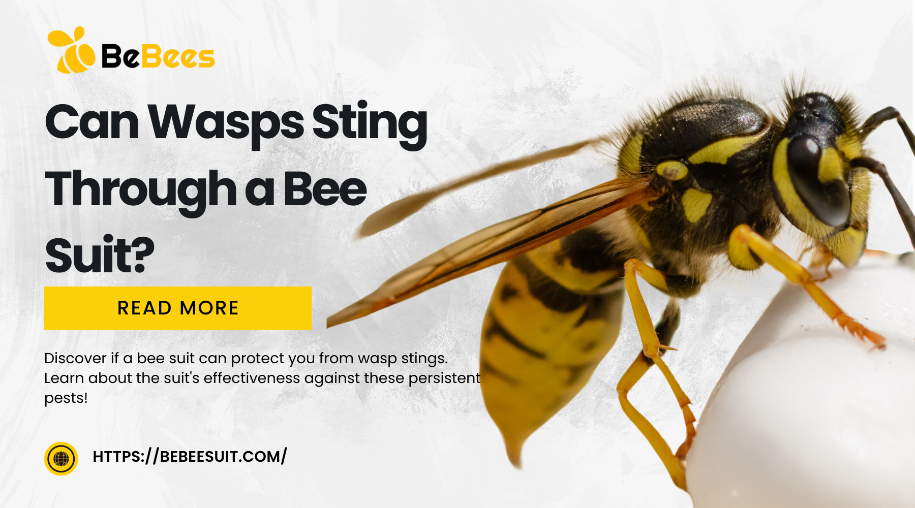 Can Wasps Sting Through a Bee Suit? – BeBees