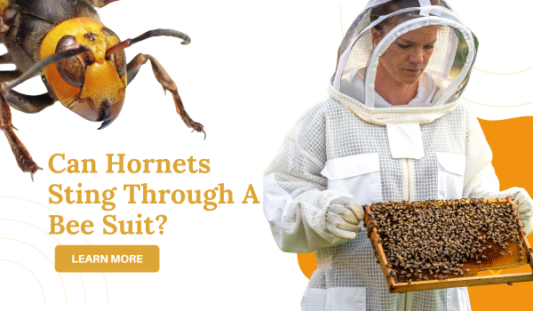 The Sting Through the Suit: Navigating the Threat of Hornets in Beekee ...