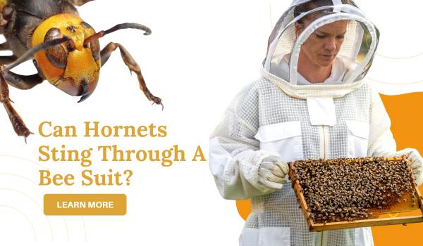 The Sting Through the Suit: Navigating the Threat of Hornets in Beekeeping