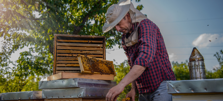 Beekeeping Suits and Accessories By BeBees