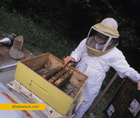 Beekeeper Hats and Headgear: Protection and Style