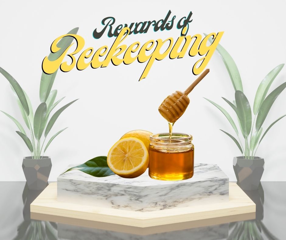 Beekeeping business rewards or benifits