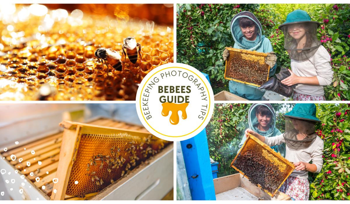 Beekeeping Photography Guide By Bebees