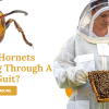 can hornets sting through a bee suit